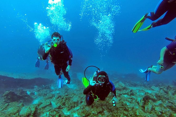 Scuba Diving from Bodrum - The Unique Underwater Features Off Bodrum
