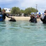 Scuba Diving in Naxos by Bluefindivers - Dive in Greece - Amazing Diving Spots - Easy Access From Naxos Town to Blue Fin Divers Center