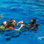 Scuba Diving Tour in Bodrum - Starting At 9:30 AM with Hassle-Free Hotel Pickup