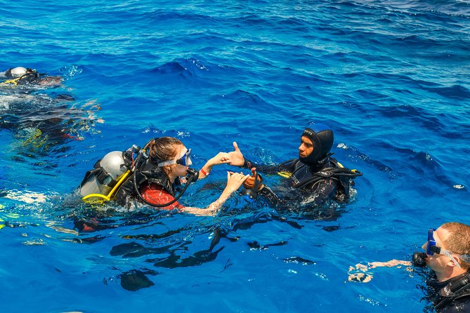 Scuba Diving Tour in Bodrum - Starting At 9:30 AM with Hassle-Free Hotel Pickup