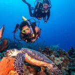 Scuba Diving Tour with Transfer From Alanya and city of Side - Pickup and Transfer Service in Alanya and Side