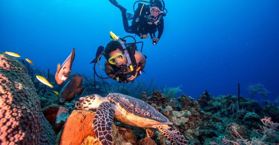 Scuba Diving Tour with Transfer From Alanya and city of Side - Pickup and Transfer Service in Alanya and Side