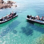 Sea excursion - Saint-Tropez from Cannes - Exploring Saint-Tropez’s Charm and Markets