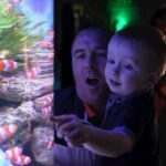 SEA LIFE Blackpool Admission Ticket - Visiting SEA LIFE Blackpool: Booking and Entry