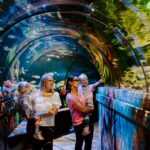 Sea Life Brighton Admission Ticket - Exploring Brighton’s Marine Life Exhibits