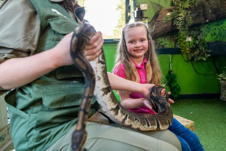 Sea Life Hunstanton - Highlights of the Seal and Penguin Enclosures