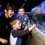 SEA LIFE London Aquarium Admission Ticket - The Exciting Shark Walk and Shark Reef Encounter