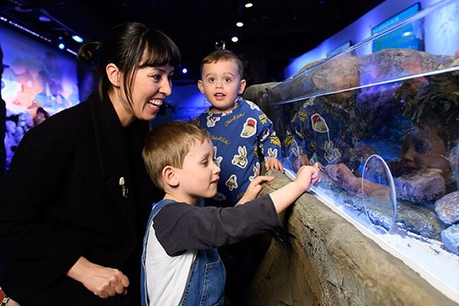 SEA LIFE London Aquarium Admission Ticket - The Exciting Shark Walk and Shark Reef Encounter