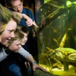 SEA LIFE Munich Admission Ticket - Convenient Location in Munich’s Olympic Park