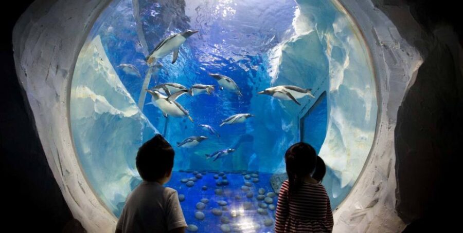 SEA LIFE Paris: Admission Ticket - Discover the Unique Zones of SEA LIFE Paris