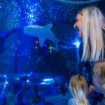 Sea Life Scarborough - Location and How to Find It