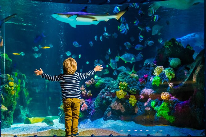 SEA LIFE Timmendorfer Strand Admission Ticket - Entrance and Location at Timmendorfer Strand