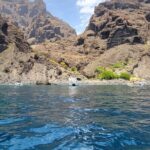 SEA SAFARI Dolphins, Whales, 3h speedboat DISCOVERY-TOUR - Starting Point at Puerto Colon with Easy Access