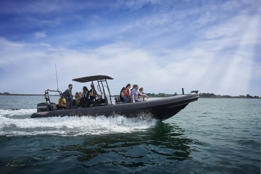Sea trip Golfe du Morbihan Arzon - A Small-Group Sea Tour with Speed and Stories