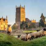 Secret Cotswolds: Private Tour of Picture-Perfect Villages - Visiting Bibury and Lower Slaughter for Timeless Charm