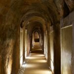 Secrets of Dorado Wine - Exploring the Damajuanas Beach: Ancient Oxidative Aging in Glass Demijohns