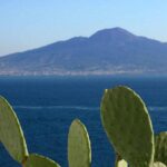 Secrets Walks of Sorrento with a Local - Starting Point and Meeting Logistics in Sorrento