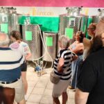 Seggiano: Extra Virgin Olive Oil Museum Visit and Tasting - What Makes This Olive Oil Farm Special?