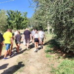 Seggiano: Guided Tour of the Olive Grove and Food Tasting - Visiting Olio Abbraccio Near Pienza and San Quirico D’Orcia