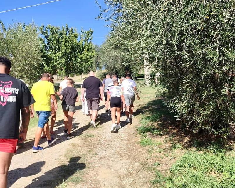 Seggiano: Guided Tour of the Olive Grove and Food Tasting - Visiting Olio Abbraccio Near Pienza and San Quirico D’Orcia