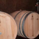 Segovia: Winery Tour with Wine Tasting - The Guided Tour and Educational Insights