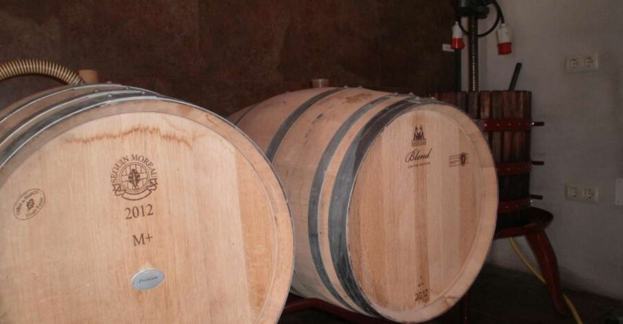 Segovia: Winery Tour with Wine Tasting - The Guided Tour and Educational Insights