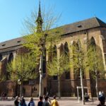 Segway Tours 2h in Colmar - What the Route Covers in Colmar
