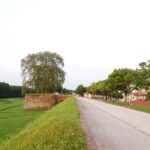 Self guided bike tour in the nature to Villa Reale - Bicycle Options and Equipment Provided