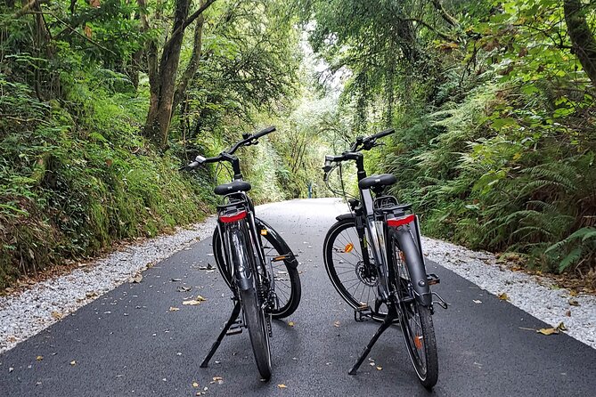 Self Guided Bike Tour on the Tralee to Fenit Greenway - The Benefits of Electric Bikes for a Smoother Ride