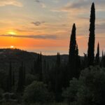 Self-guided Electric Fat Bike Tours and Rentals - Discover Corfu’s Scenic Routes on Electric Fat Bikes