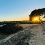 Self-guided Walking Tour and Outdoor Escape Game in Cala Millor, in German - Starting Point and Ending Location in Cala Millor