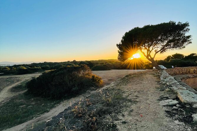 Self-guided Walking Tour and Outdoor Escape Game in Cala Millor, in German - Starting Point and Ending Location in Cala Millor