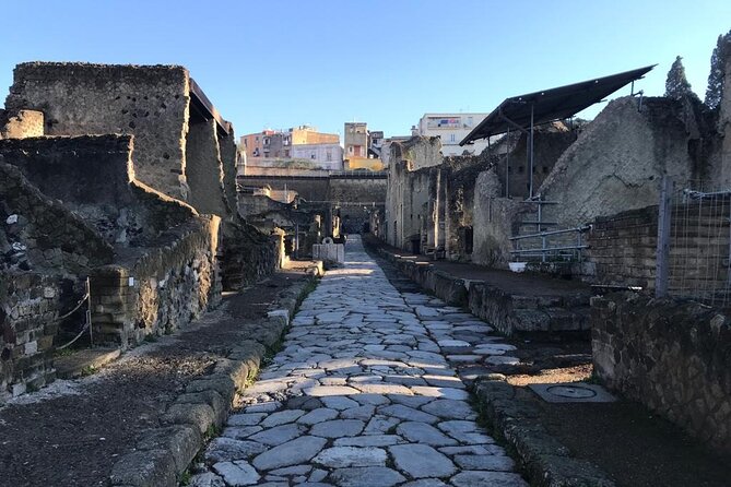 Semi-Private Guided Small-Group Tour of Herculaneum - Exploring the Most Important Private Houses