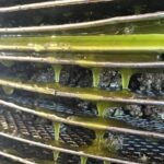 Semi- Private Olive Grove and Dragon Fruit Farm with Tastings - Exploring the Family-Owned Olive Oil Mill