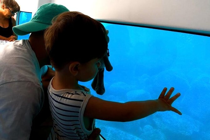 Semi-submarine: visit to the seabed of Porto Bay - The Circuit Options: Calanche or Castagna