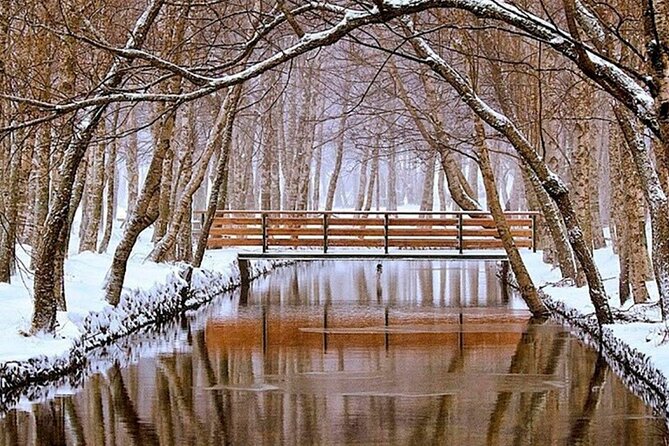 SERRA DA ESTRELA - Excursão com degustação de queijo da serra - Value for Money and Overall Experience