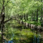 Serra da Estrela: Tour of the Natural Highlights - Departure Locations and Pickup Options in Covilhã