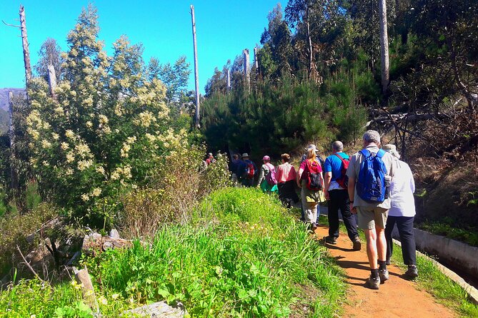 Serra D'Água Valley - Levada Walk - Exploring the Flora, Fauna, and Natural Beauty