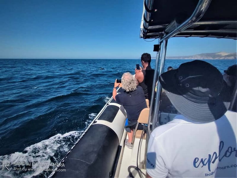 Sesimbra: Dolphin and Whales Watching with Biologist Guide - What Makes the Dolphin and Whale Watching Tour Stand Out