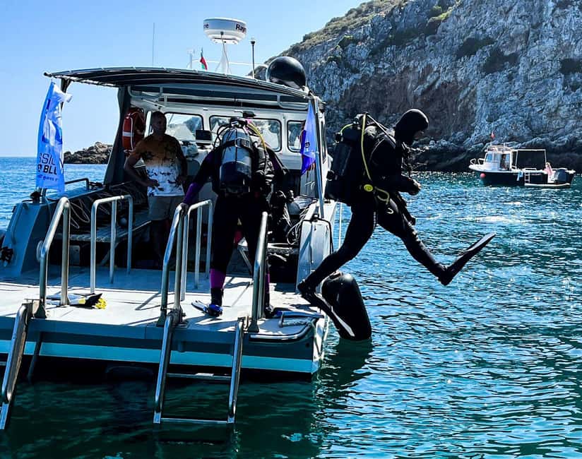 Sesimbra: Open Water Diver Course with 5 Dives - How the Ocean Dives Are Structured