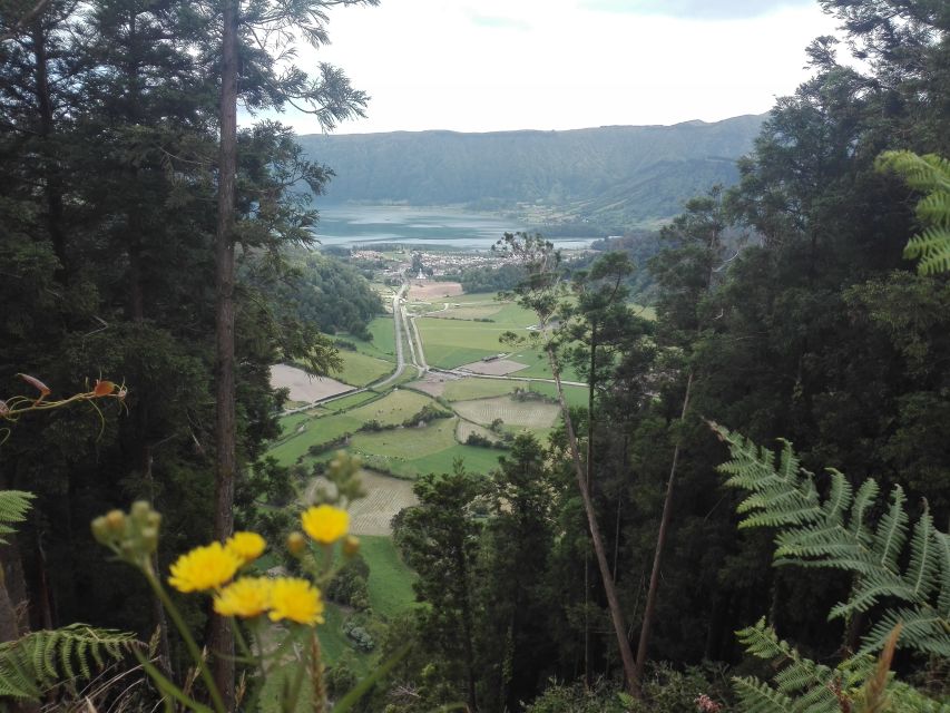 Sete Cidades Experience - Scenic Walk from Miradouro Vista do Rei to Sete Cidades Village