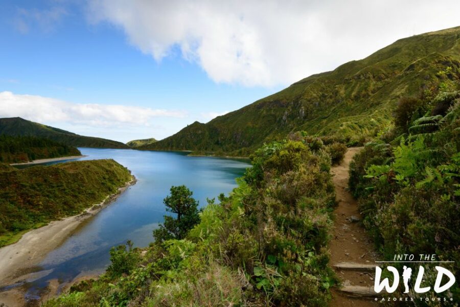 Sete Cidades & Lagoa do Fogo - Full-Day Tour - From Ponta Delgada to Pico do Carvão: Starting Off with Scenic Views