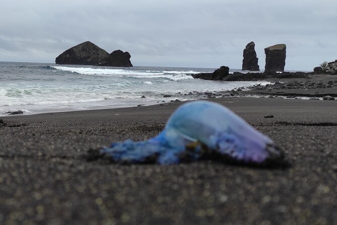 Sete Cidades on Jeep - Comfortable Transport in a Climate-Controlled Vehicle