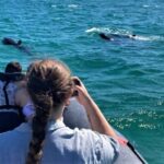 Setúbal: Dolphin-Watching Boat Tour - Exploring the Beaches of the Arrabida Coast