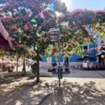 Setúbal Private Walking Tour: Off-the-Beaten-Path Charms - Exploring the Museu do Trabalho Michel Giacometti