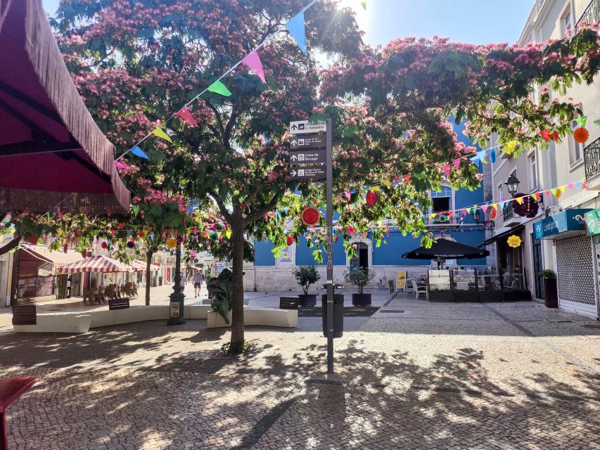 Setúbal Private Walking Tour: Off-the-Beaten-Path Charms - Exploring the Museu do Trabalho Michel Giacometti