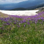 Seven Rila Lakes hike and SPA - From the Hotel to the Mountain Top: The Transportation and Cable Car Experience