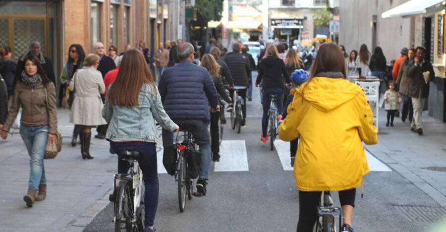 Seville: 1-Day Bike Rental - Spanish-Made Bikes Designed for Comfort and Safety