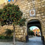 Seville: Alcazar, Cathedral, and Giralda Skip-the-Line Tour - Starting Point and Check-in Process