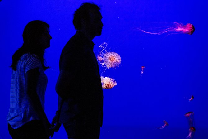 Seville Aquarium Admission Ticket - How the Skip-the-Line Ticket Enhances Your Visit